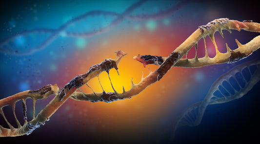 Beyond Oppenheimer, does radiation change our DNA?