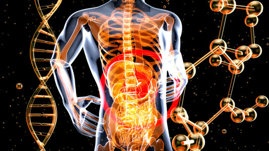 Resting metabolic rate