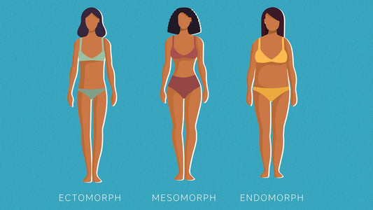 Endomorph, mesomorph, ectomorph, what does this all mean?