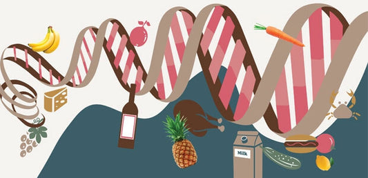 Beyond the DNA Code: The Power of Epigenetics