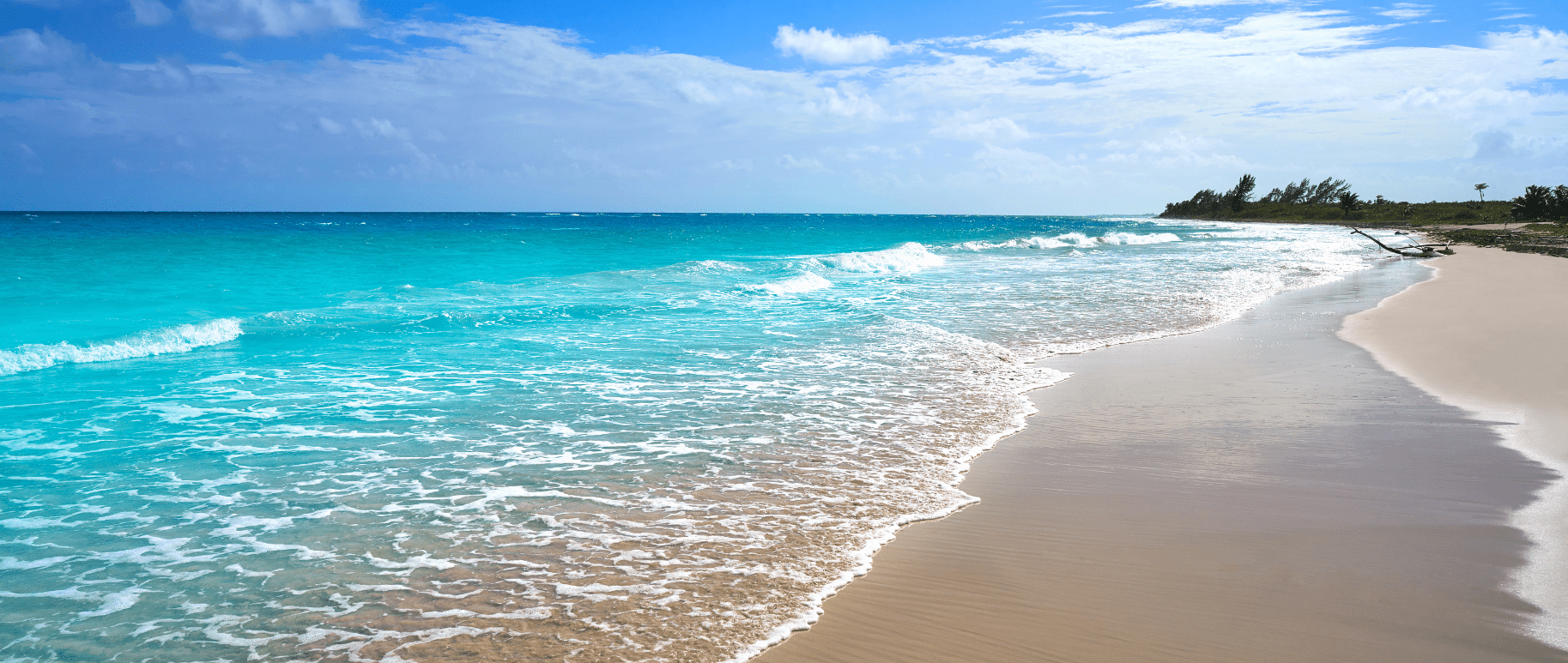 A beach