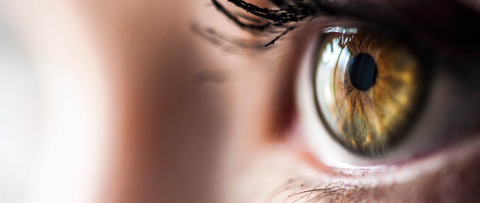 An strong visual of an eye
