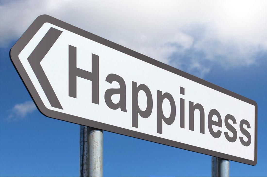 Don’t Worry, Be Happy: Is Your Happiness in your Genes?