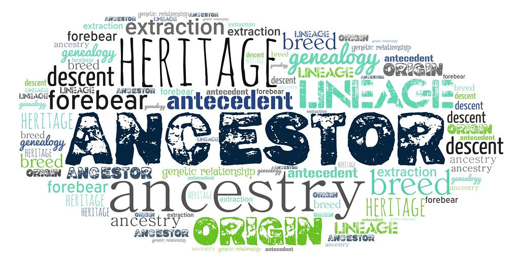 The role of DNA testing in discovering your ancestry and heritage