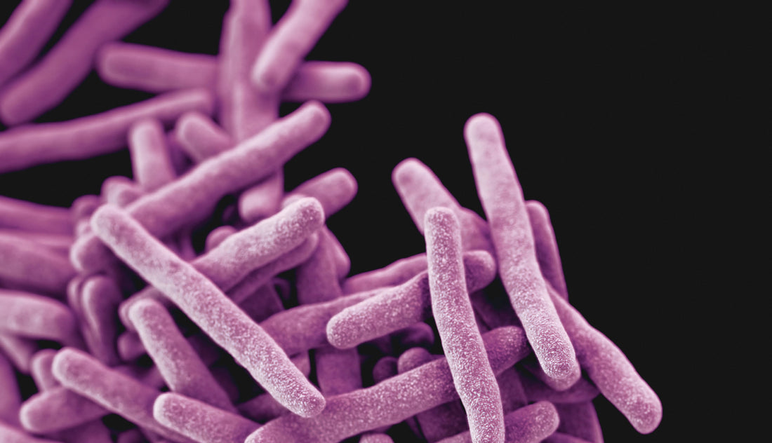 Winning the Tuberculosis Battle