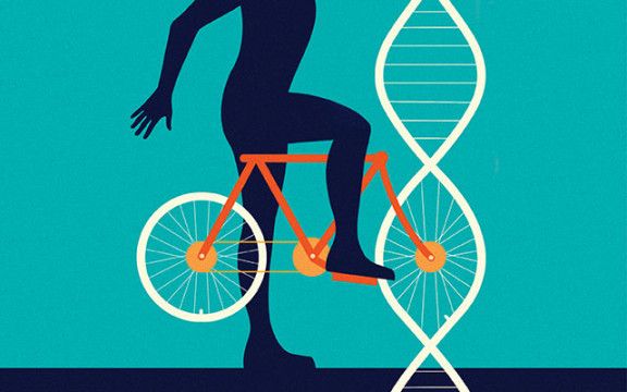 Unraveling the Epigenetic Magic: How Exercise Influences Your Genes