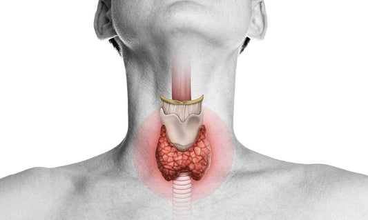 Hypothyroidism: An Underactive Thyroid and Its Consequences