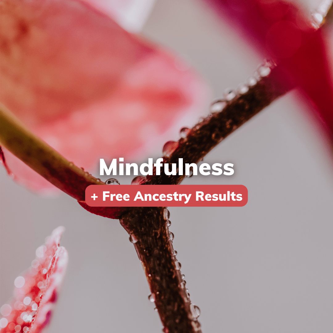 Get your free Ancestry results with our Mindfulness kit, leading to better sleep, less anxiety, and more trust.