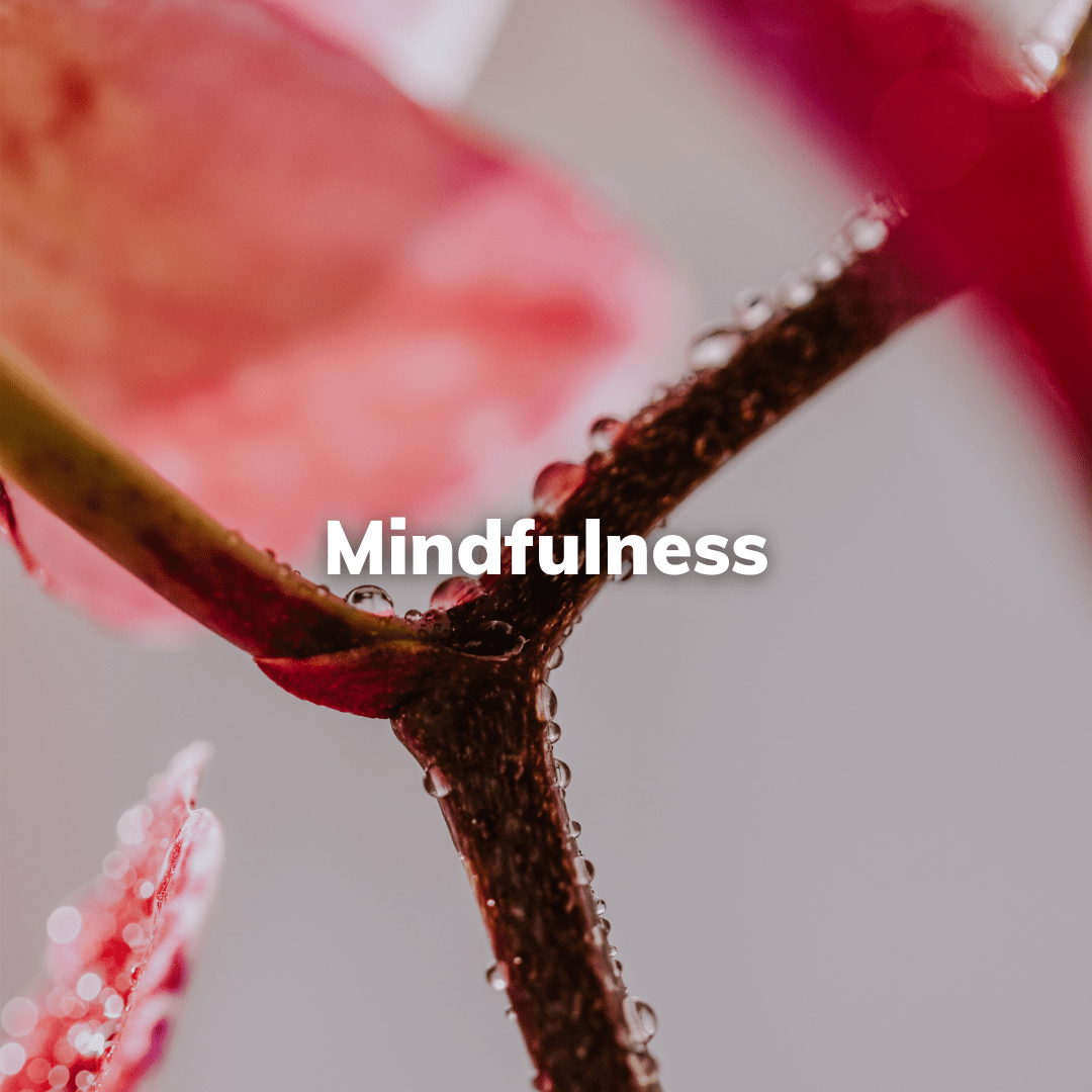 Are you a snoozer? Maybe and entrepreneur? Discover more with our Mindfulness kits and explore things like sleep, anxiety, and trust.