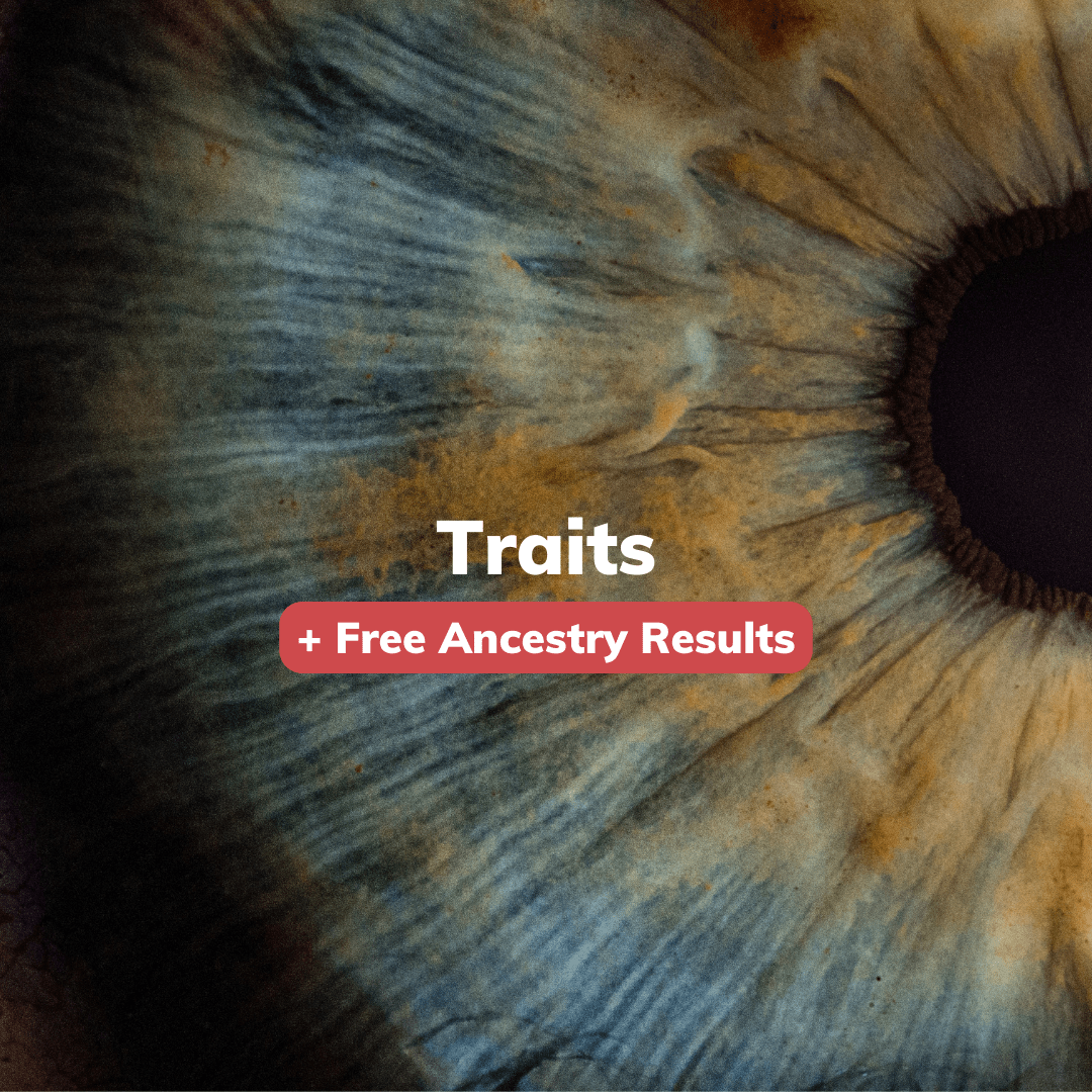 Explore Hair Loss, Traits, and Arthritis Risk with Our DNA Traits Kit - Get your free Ancestry results.